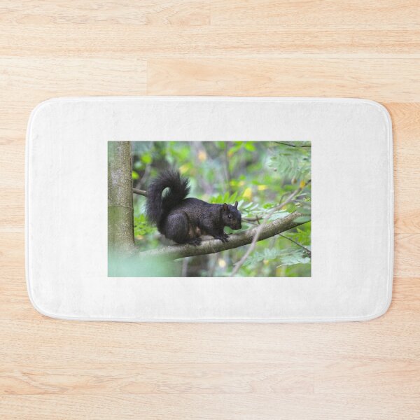 Item preview, Squirrel momma... designed and sold by RichImage.