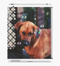 Toto iPad Case/Skin