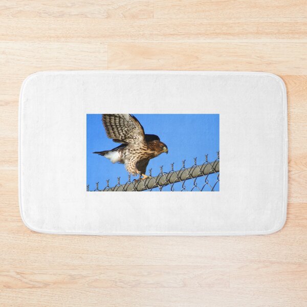 Item preview, Hawk on a Fence... designed and sold by RichImage.