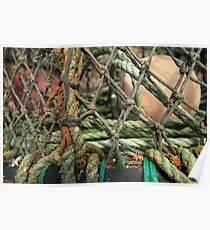 Intricate Twists - Cadgwith Cove Cornwall UK Poster