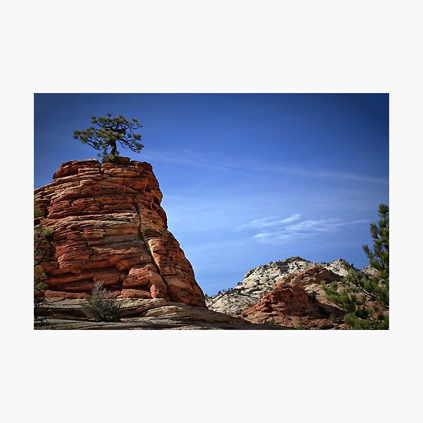 Tenacity Photographic Print