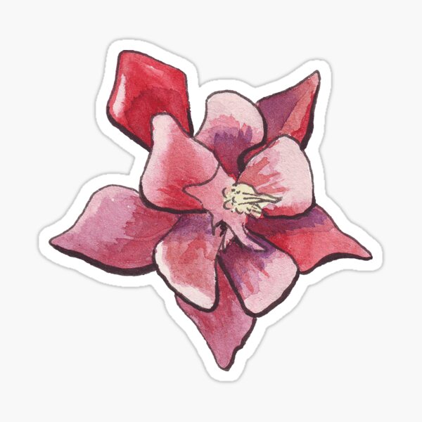 Aquilegia or columbine in aquarelle Sticker