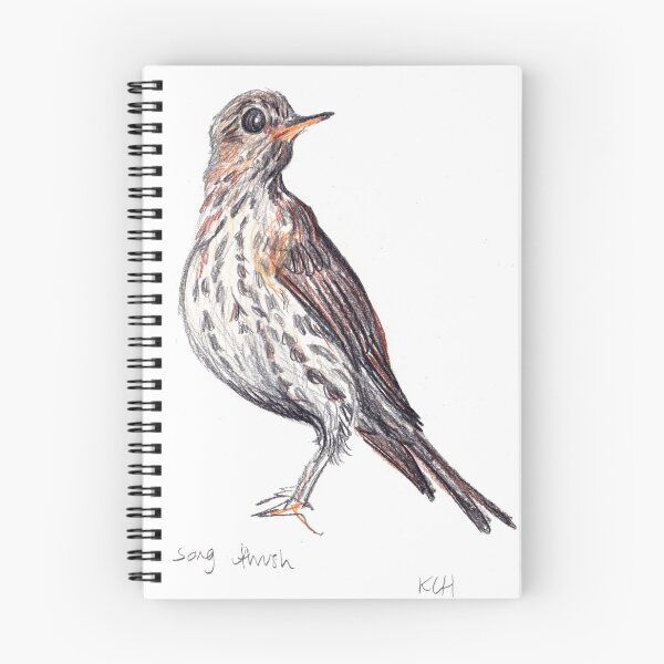 Item preview, Song Thrush  designed and sold by sadnettles.