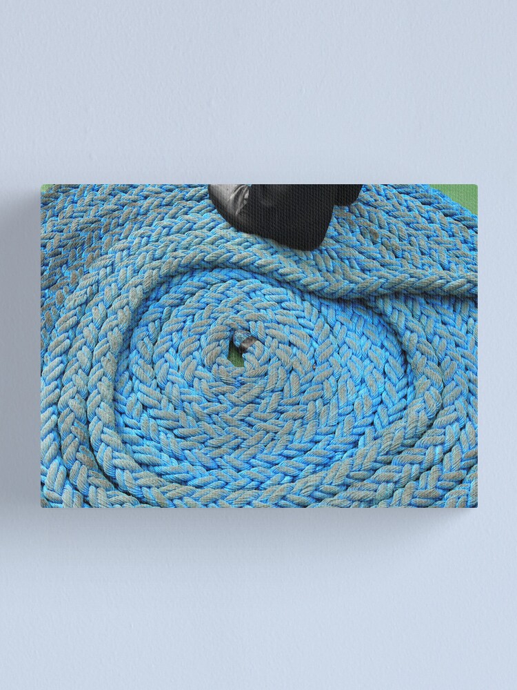 Alternate view of SAIL Amsterdam - shoes (8) Canvas Print