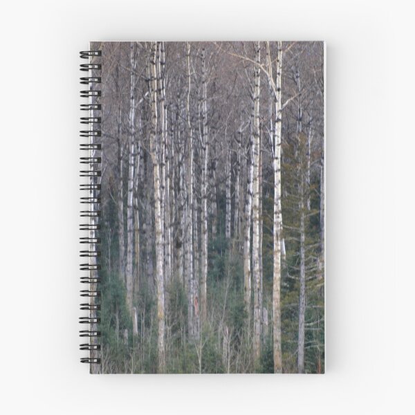 Item preview, Aspens designed and sold by Dawne Olson.