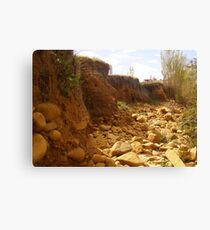 environmental awareness Canvas Print