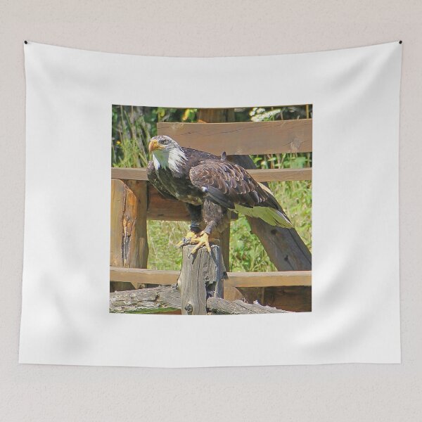 Item preview, Bald Eagle designed and sold by vette.
