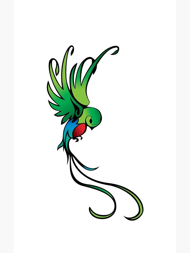 Quetzal Case Skin For Samsung Galaxy By Lykanyouko Redbubble