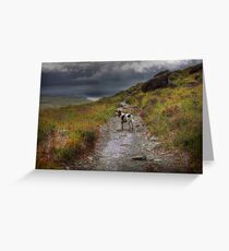 Toby in the Hills Greeting Card