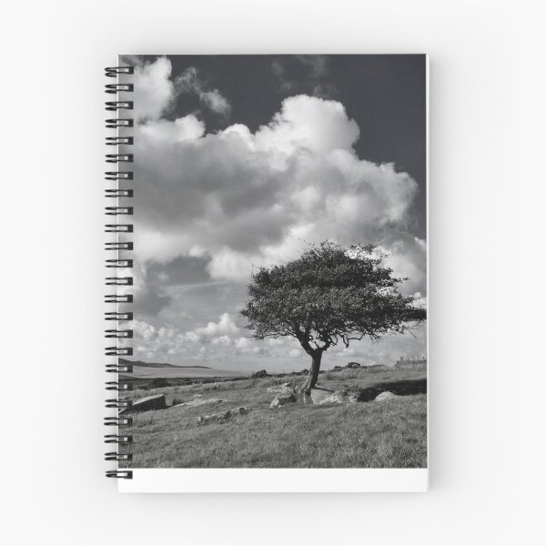 Item preview, Lone tree on Bodmin Moor designed and sold by Pete Hemington.