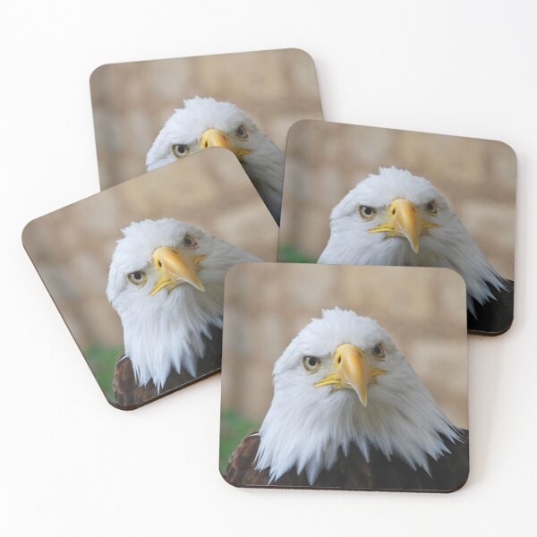 Item preview, Eagle20150201 designed and sold by JAMFoto.