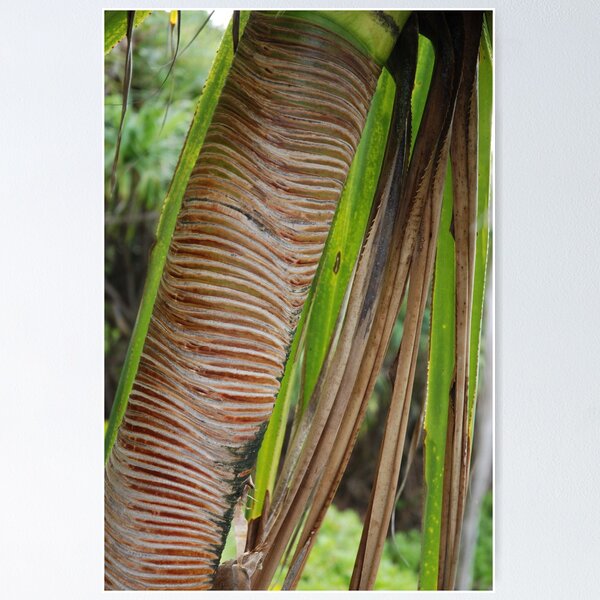 Item preview, Palm Pattern Maui Hawaii designed and sold by ZIGSPHOTOGRAPHY.