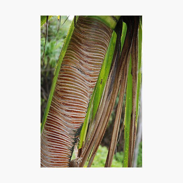 Item preview, Palm Pattern Maui Hawaii designed and sold by ZIGSPHOTOGRAPHY.