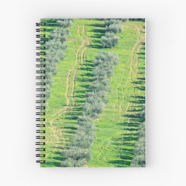 Item preview, Olive grove patterns, Lago Trasimeno, Umbria designed and sold by AndrewJonesFoto.