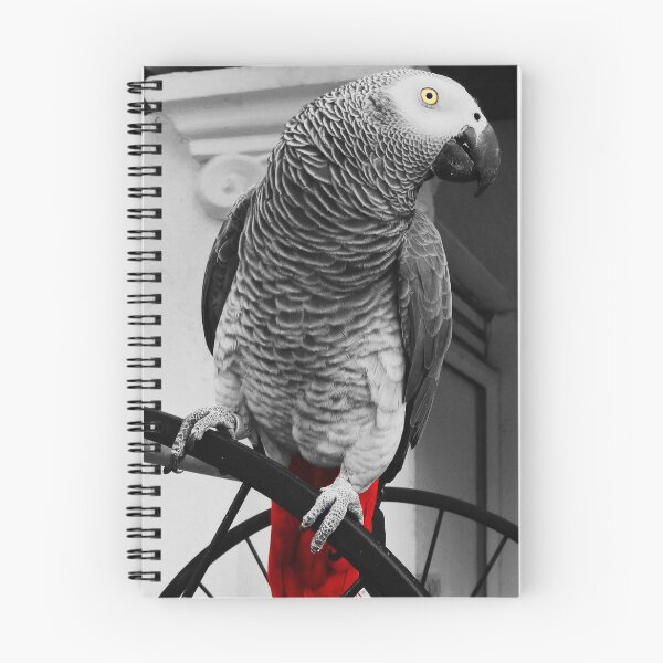 Item preview, African Grey designed and sold by DafyddEm.