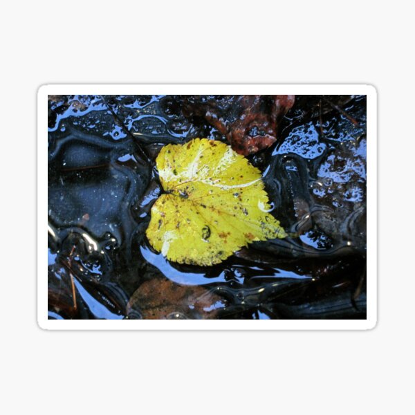 The Autumn Leaf Sticker