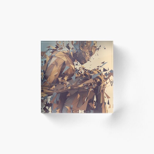 Shattering Inside Acrylic Block