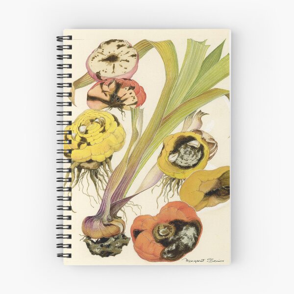 Item preview, Fusarium Yellows & Basal Brown Rot of Gladiolus designed and sold by BiosecurityColl.
