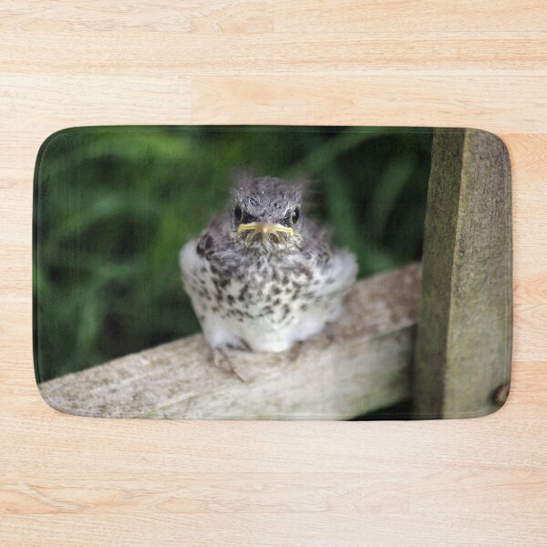 Item preview, Empty Nest designed and sold by StampCity.
