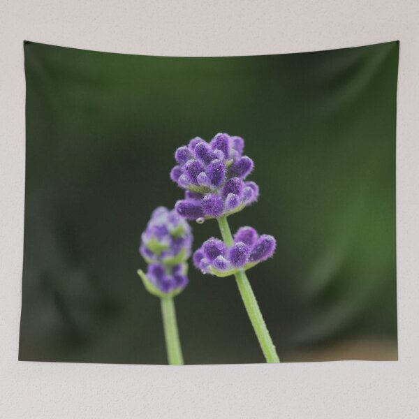 Item preview, Lavender designed and sold by StampCity.