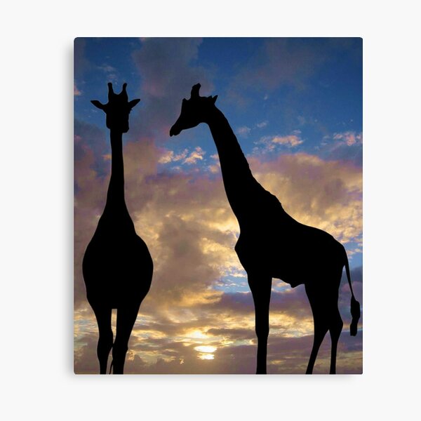 The winner by a neck Canvas Print