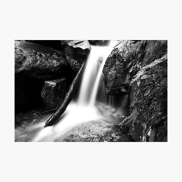 Deep in the Valley Photographic Print