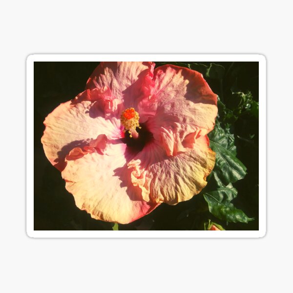 Summertime Means More Flowers Sticker