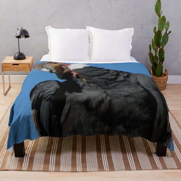 Item preview, Inquisitive Condor (Photography, colour) designed and sold by RosieGlow.