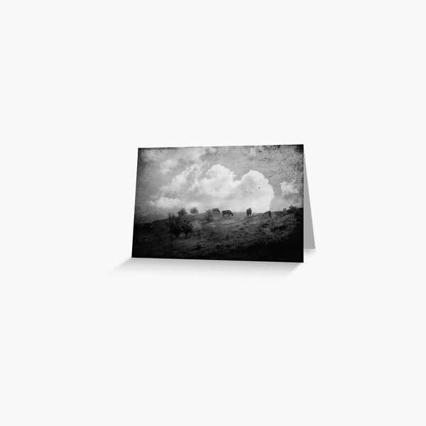 Home on the Range Greeting Card