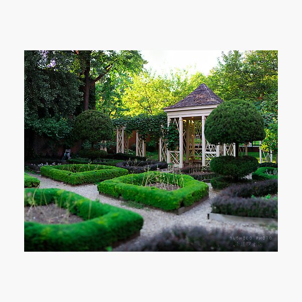 Item preview, Jardín de Philadelphia designed and sold by busidophoto.