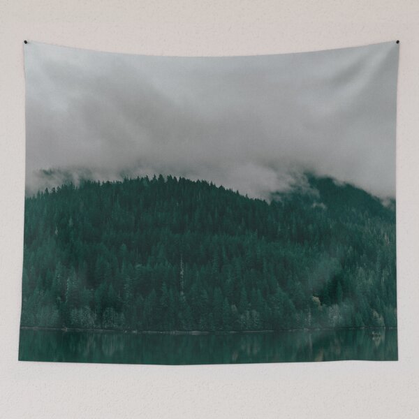 Aperçu de l'œuvre Pacific Northwest Lake créée et vendue par Leah Flores.