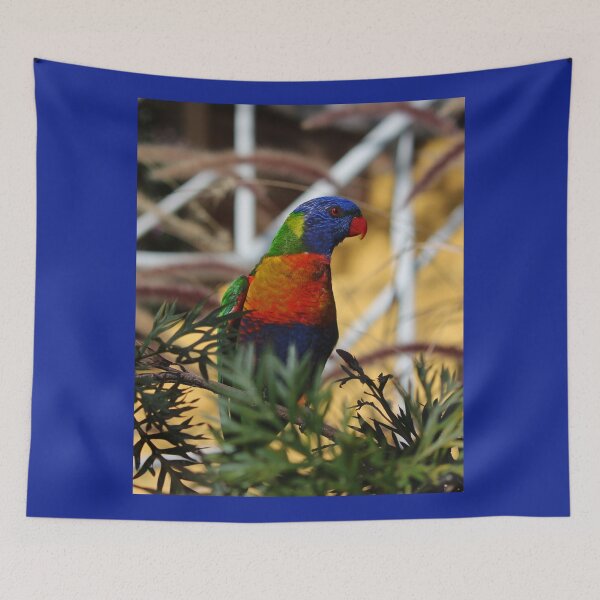 Item preview, Parrot on Point designed and sold by KazM.