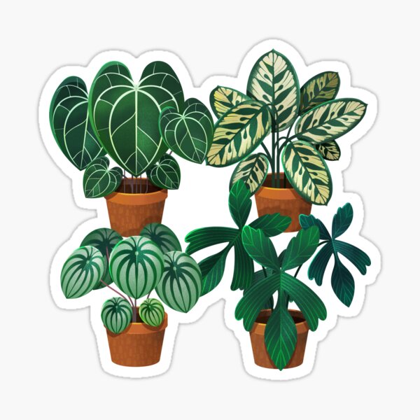 Plants Sticker