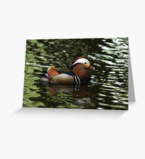 Mandarin Duck Greeting Card