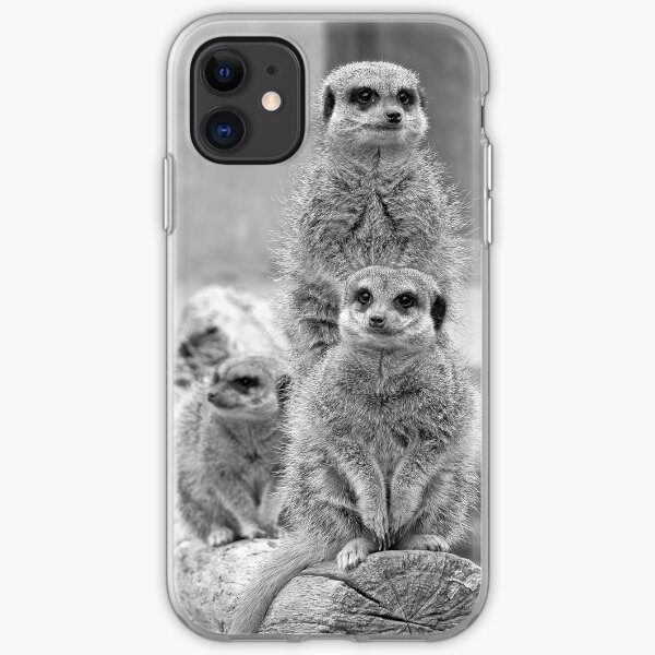 Meerkats on a look out iPhone Soft Case