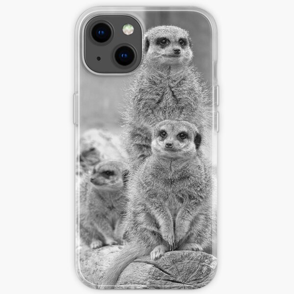 Meerkats on a look out iPhone Soft Case