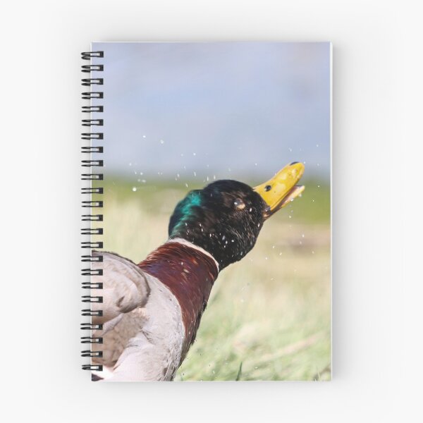 Item preview, Damp duck designed and sold by GreyFeatherPhot.