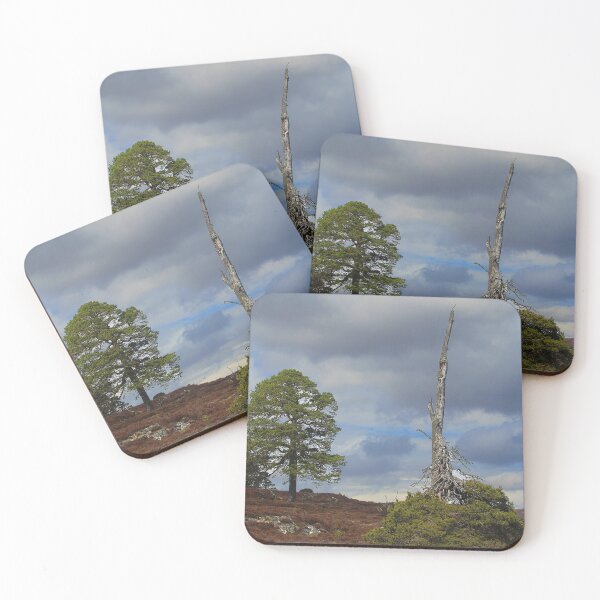 Item preview, Cairngorm trees designed and sold by Julie Bell.