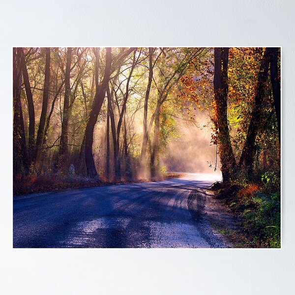 Item preview, Deep Autumn Sun  designed and sold by NatureGreeting Cards ©ccwri.
