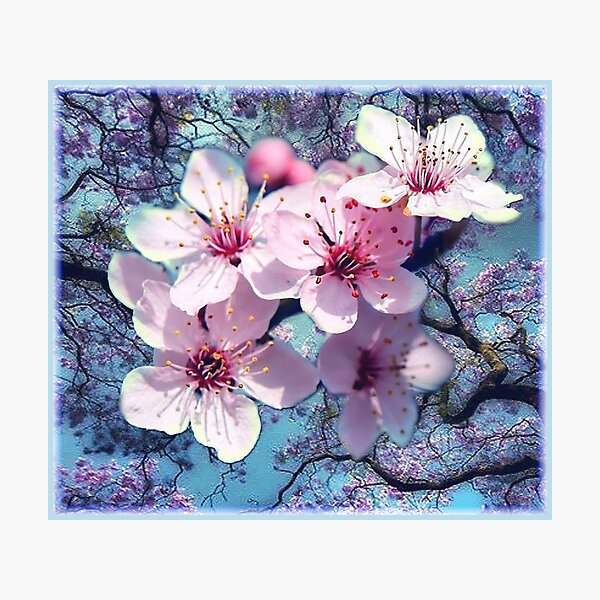 Item preview, Cherry Blossoms  designed and sold by NadineMay.