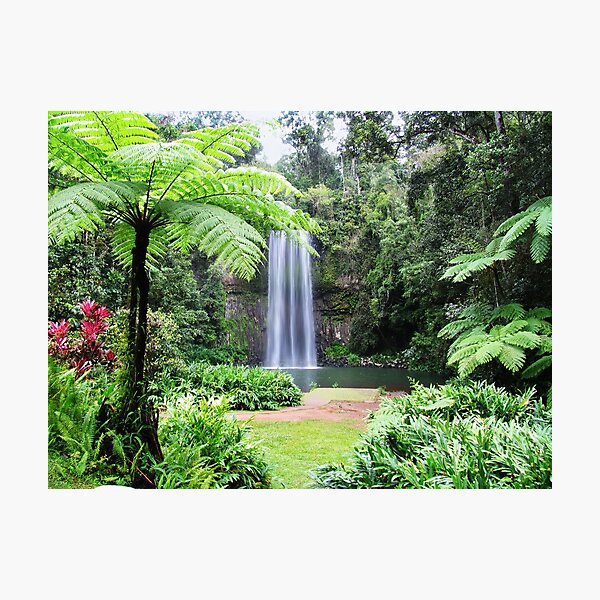Item preview, Millaa Millaa Falls designed and sold by Linda Lees.