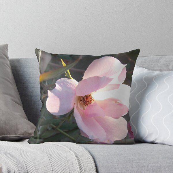Item preview, Pretty in Pink designed and sold by Chanel70.