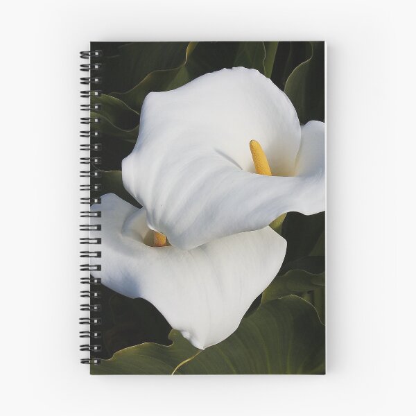 Item preview, Unblemished Calla Lilies designed and sold by AnnDixon.