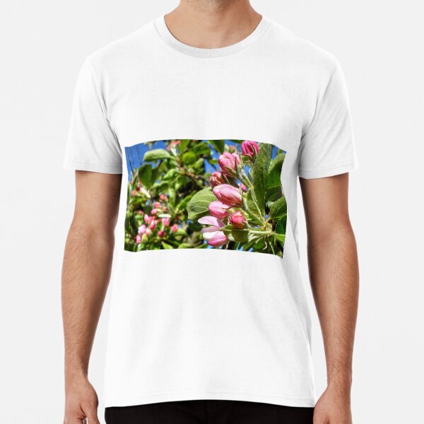 Apple Blossom In Bud - Early Spring Premium T-Shirt