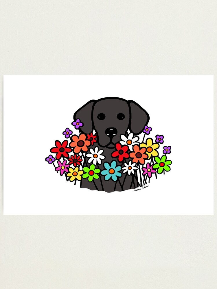 Lámina fotográfica «Hermosas flores negras de Labrador» de HappyLabradors |  Redbubble