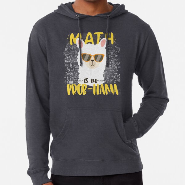 COOL MATH IS NO PROB-LLAMA LLAMA ALPACA BACK TO SCHOOL CHALK Lightweight Hoodie
