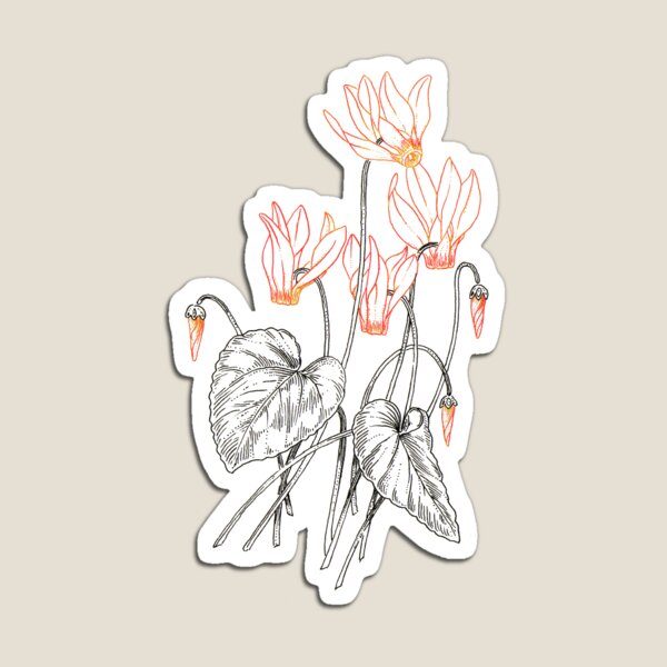 Cyclamen Magnet