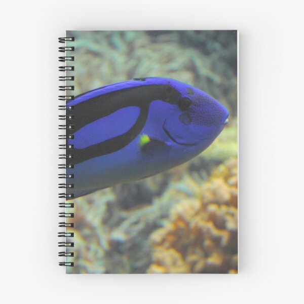 Item preview, Paracanthurus hepatus designed and sold by Mythos57.