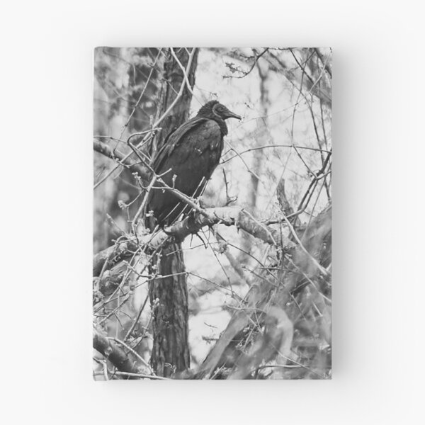 Item preview, Black and white vultures designed and sold by David Molnar.
