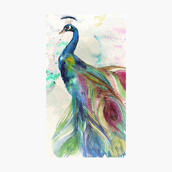Exotic peacock watercolor Canvas Print for Sale by Aliaksandr Kudlakou